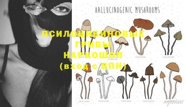 соль ск Покров