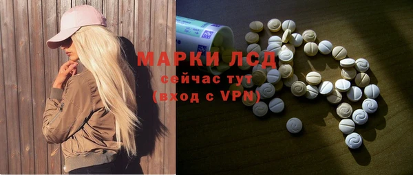 гидра Покачи