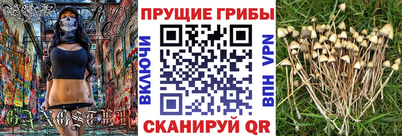 Купить  Малоархангельск  Псилоцибиновые грибы ЛСД 